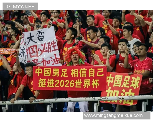 中国足球国家队主教练的挑战与机遇如何引领球队走向辉煌未来